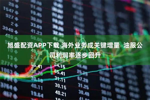 旭盛配资APP下载 海外业务成关键增量  油服公司利润率逐步回升